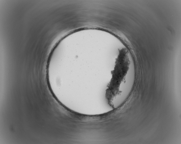 X0000112751183200910011148