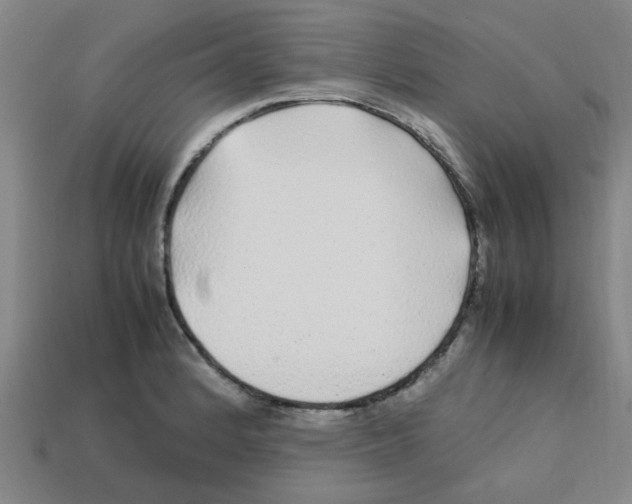 X0000112751184200910011148