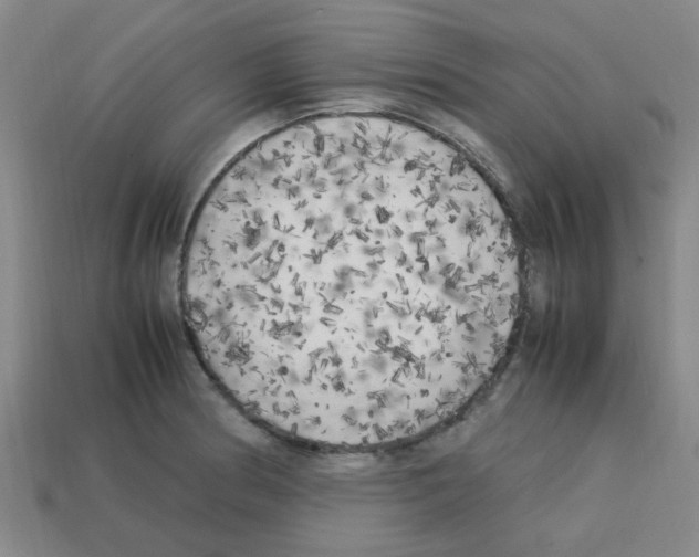 X0000112751186200910011147