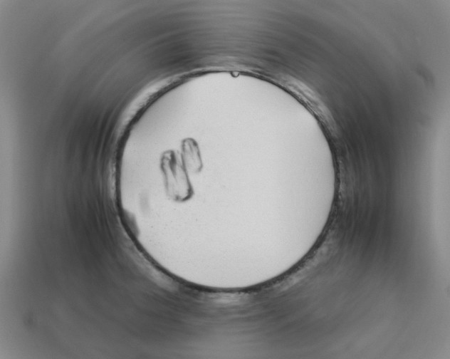 X0000112751188200910011147