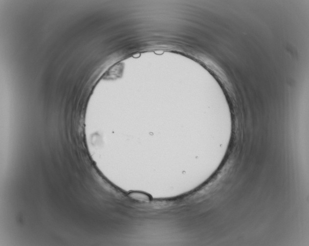 X0000112751193200910011147