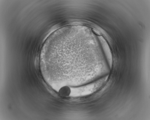 X0000112751194200910011147