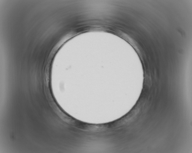 X0000112751195200910011147