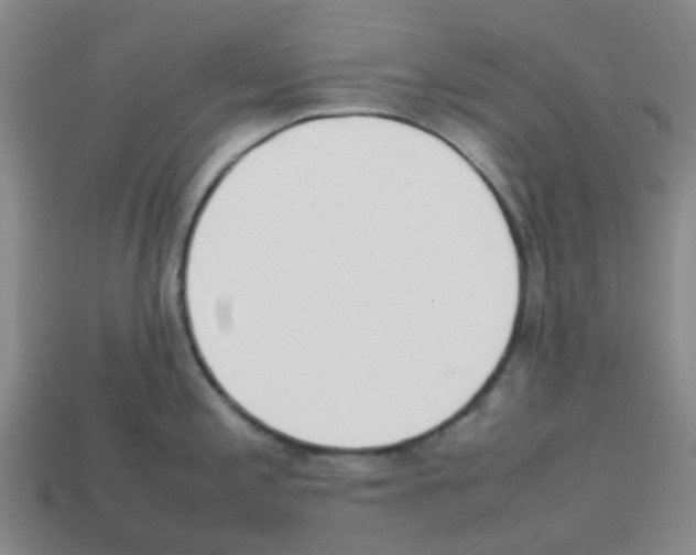 X0000112751197200910011147