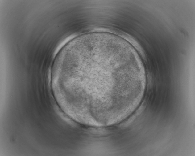 X0000112751198200910011147