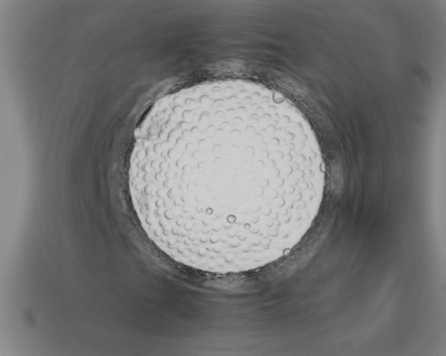 X0000112751201200910011147