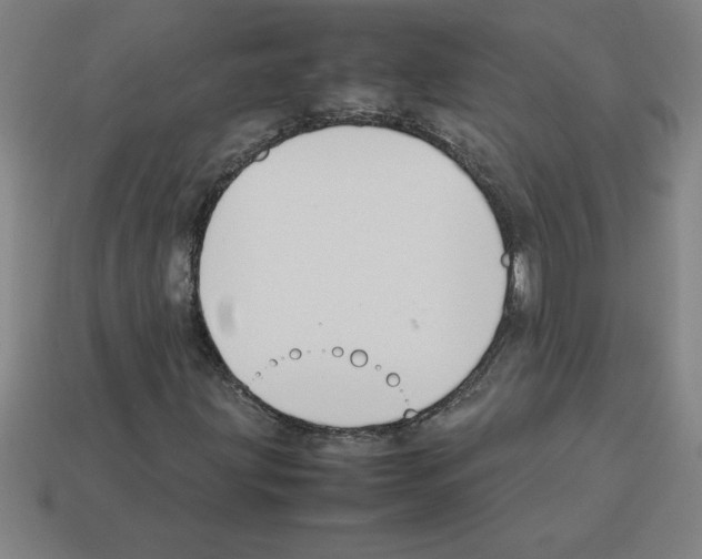 X0000112751203200910011147