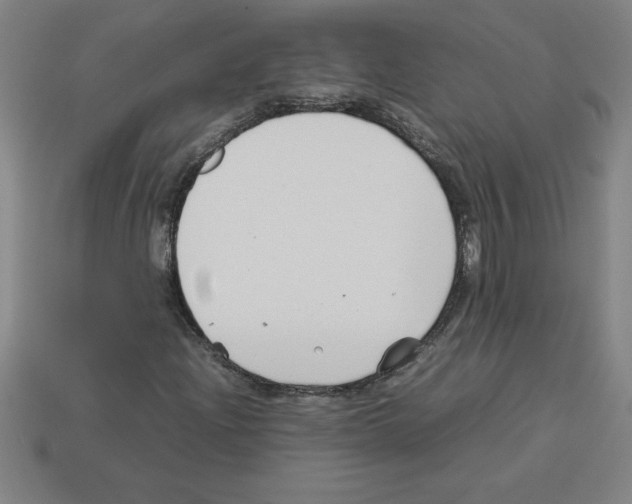 X0000112751204200910011147