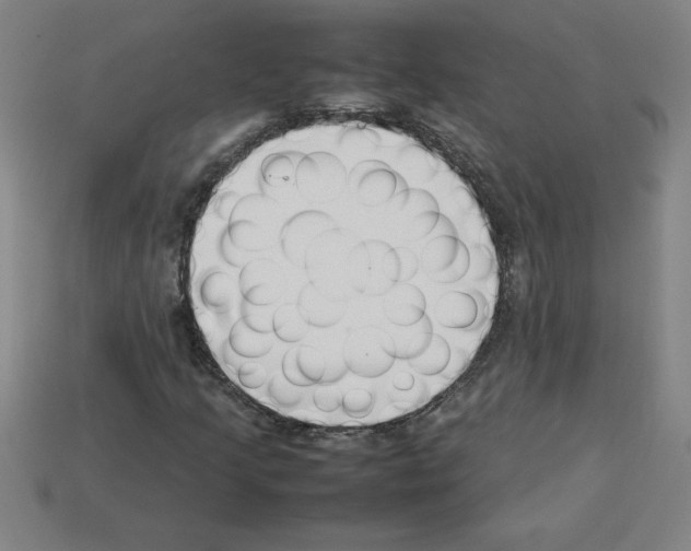 X0000112751205200910011147