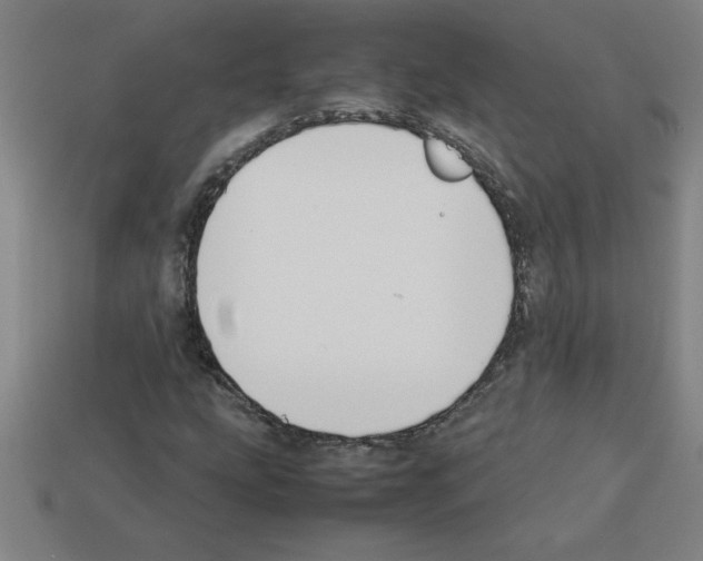 X0000112751207200910011147