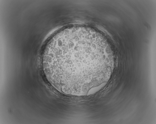 X0000112751208200910011147