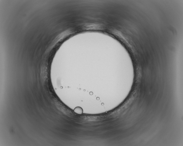 X0000112751211200910011147