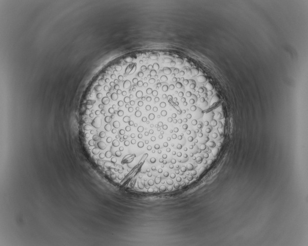 X0000112751212200910011147