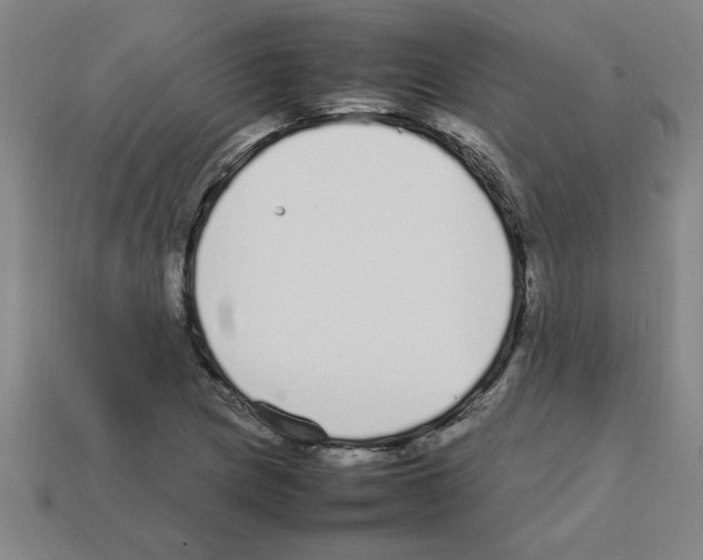 X0000112751217200910011147