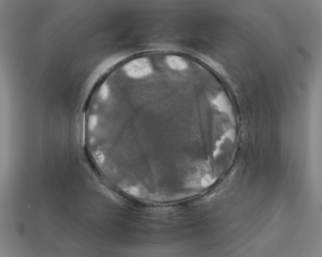 X0000112751223200910011147