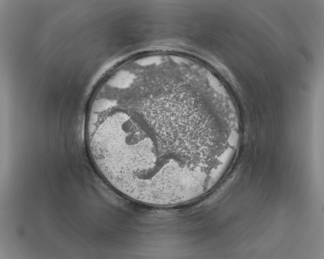 X0000112751224200910011147