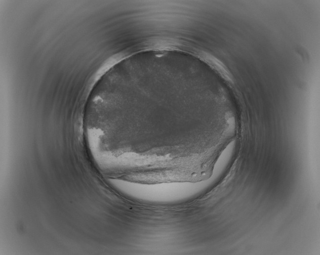 X0000112751226200910011147