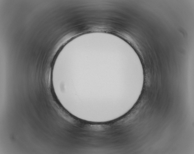 X0000112751227200910011147