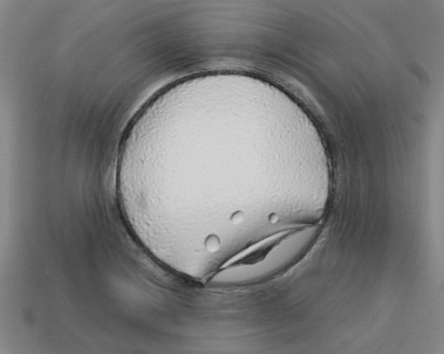 X0000112751228200910011147