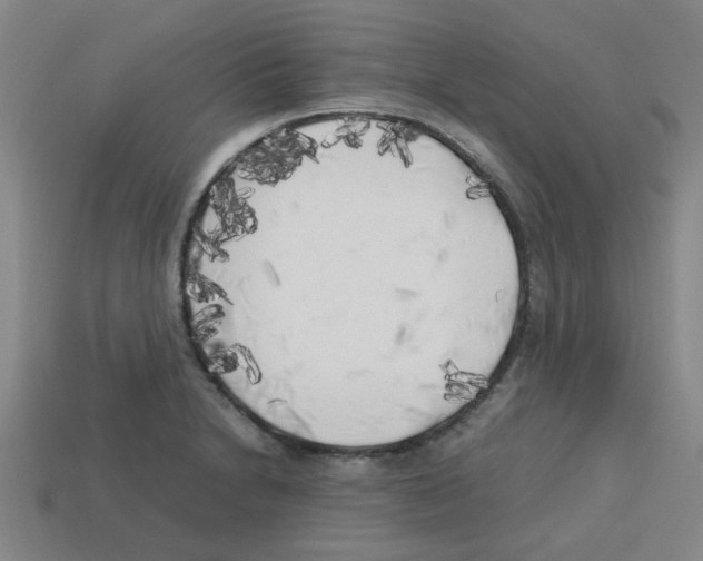 X0000112751230200910011147