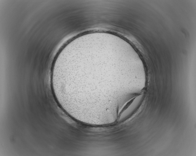 X0000112751232200910011147