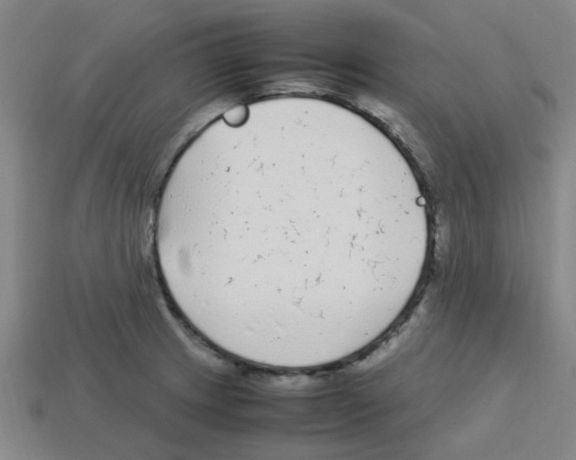 X0000112751233200910011147