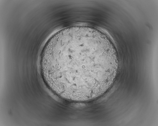 X0000112751235200910011147