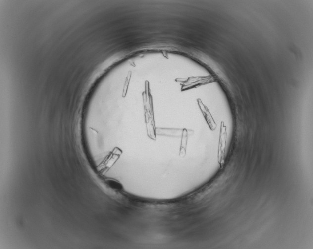 X0000112751237200910011147