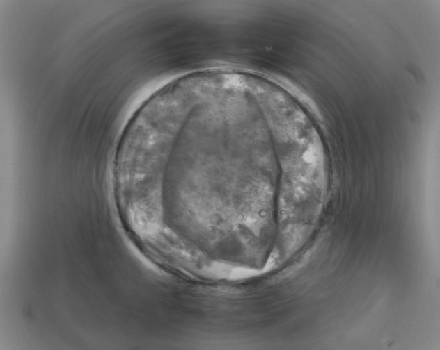 X0000112751239200910011147