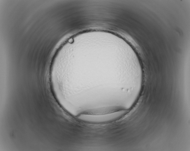 X0000112751240200910011147