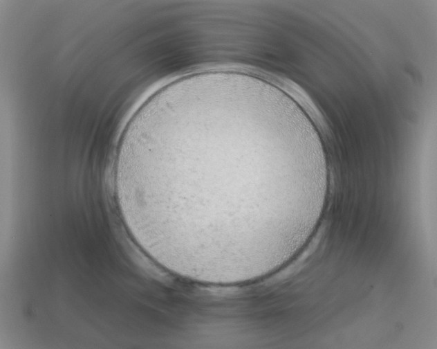 X0000112751244200910011147