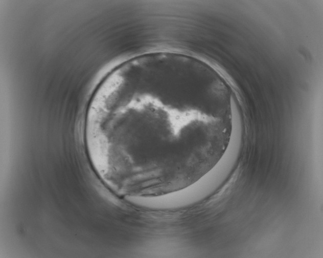 X0000112751246200910011147