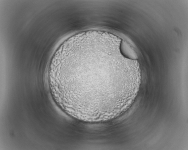 X0000112751247200910011147