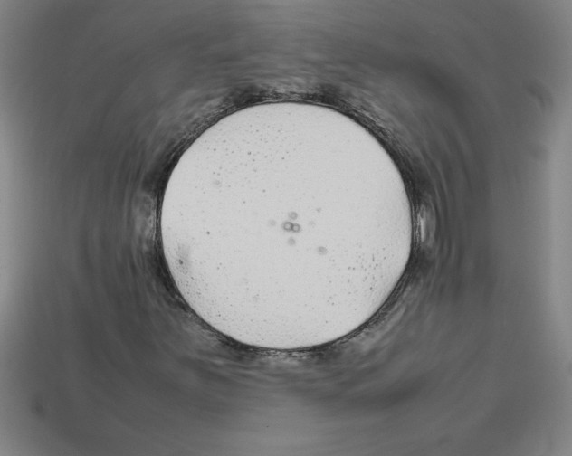 X0000112751251200910011147