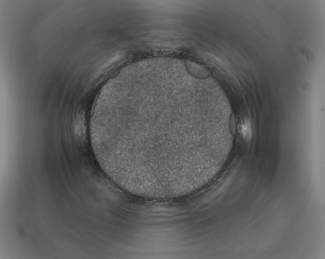 X0000112751252200910011147