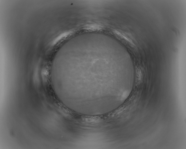 X0000112751254200910011147