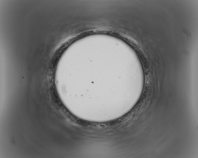 X0000112751255200910011147