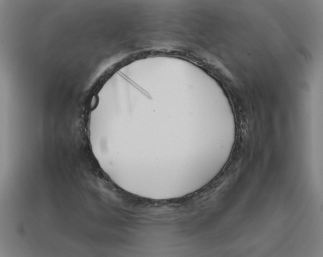 X0000112751256200910011147