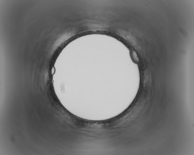 X0000112751261200910011147