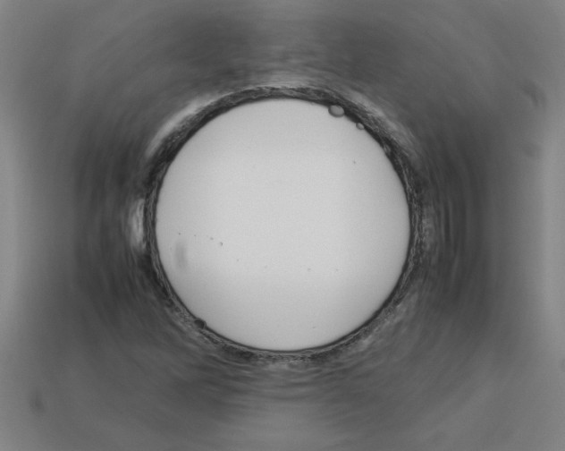 X0000112751262200910011147