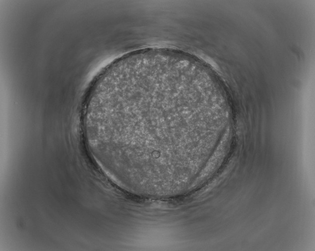 X0000112751263200910011147