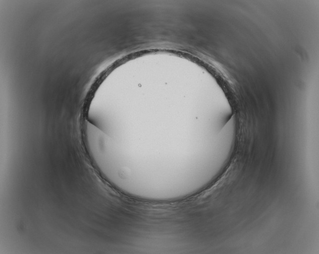 X0000112751264200910011146