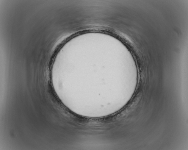 X0000112751267200910011146