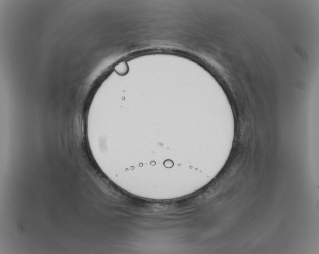 X0000112751271200910011146