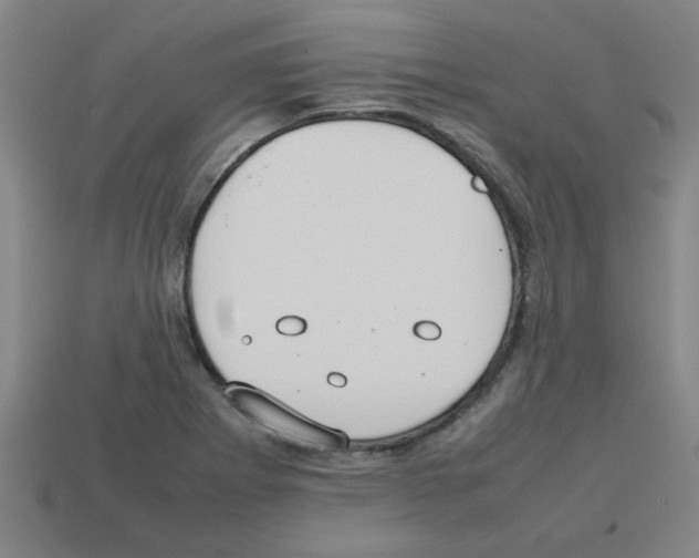 X0000112751273200910011146