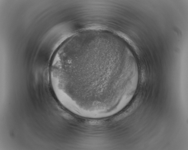 X0000112751274200910011146