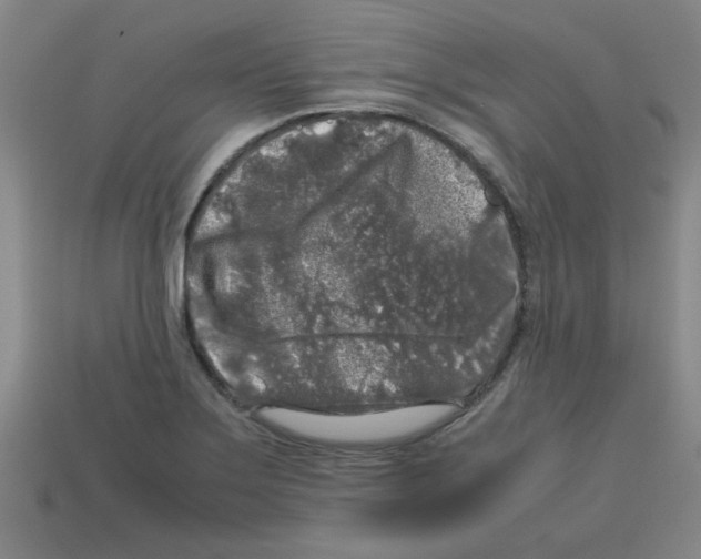 X0000112751275200910011146