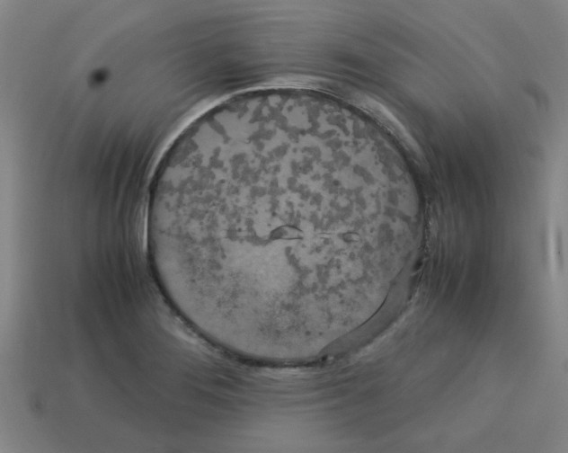 X0000112751276200910011146