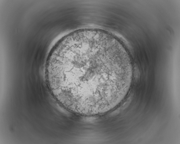 X0000112751278200910011146