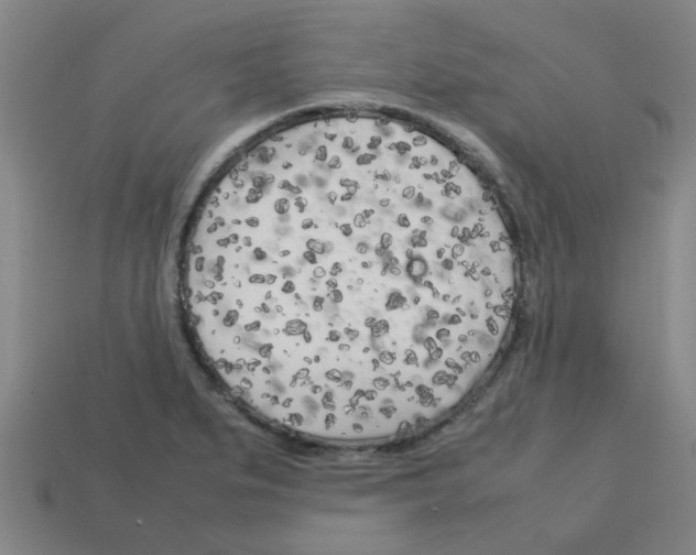 X0000112751279200910011146